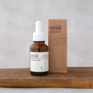 emiii-03