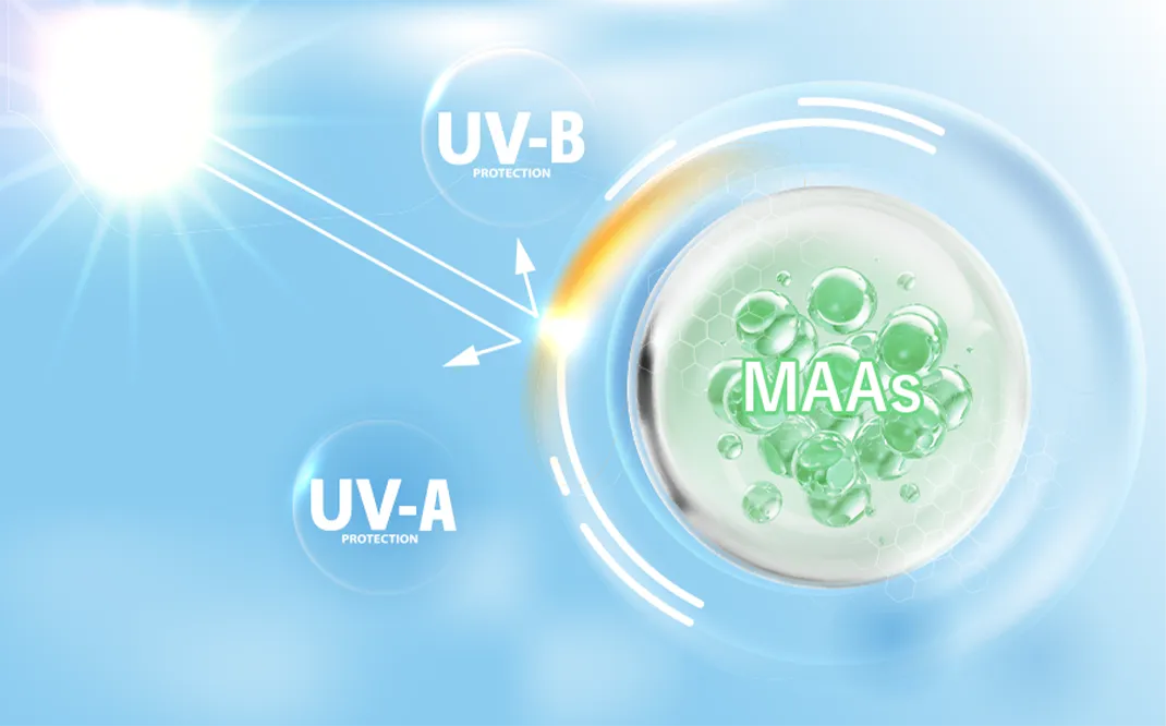 UVカットのイメージ