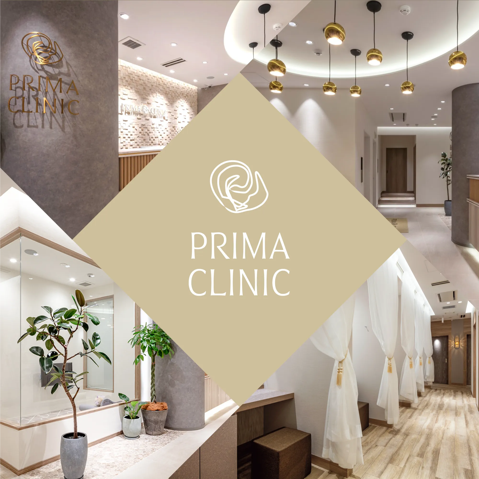 トップスライダーPRIMA